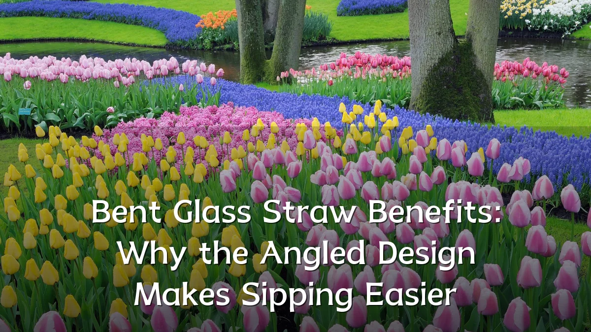 Bent Glass Straw Benefits: Why the Angled Design Makes Sipping Easier