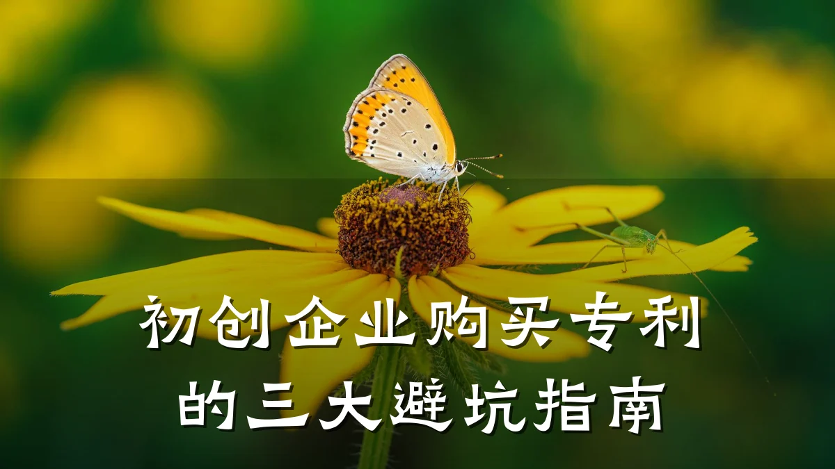 初创企业购买专利的三大避坑指南