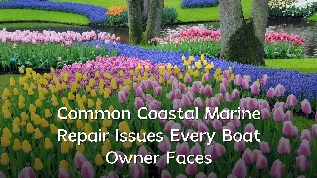 Common Coastal Marine Repair Issues Every Boat Owner Faces
