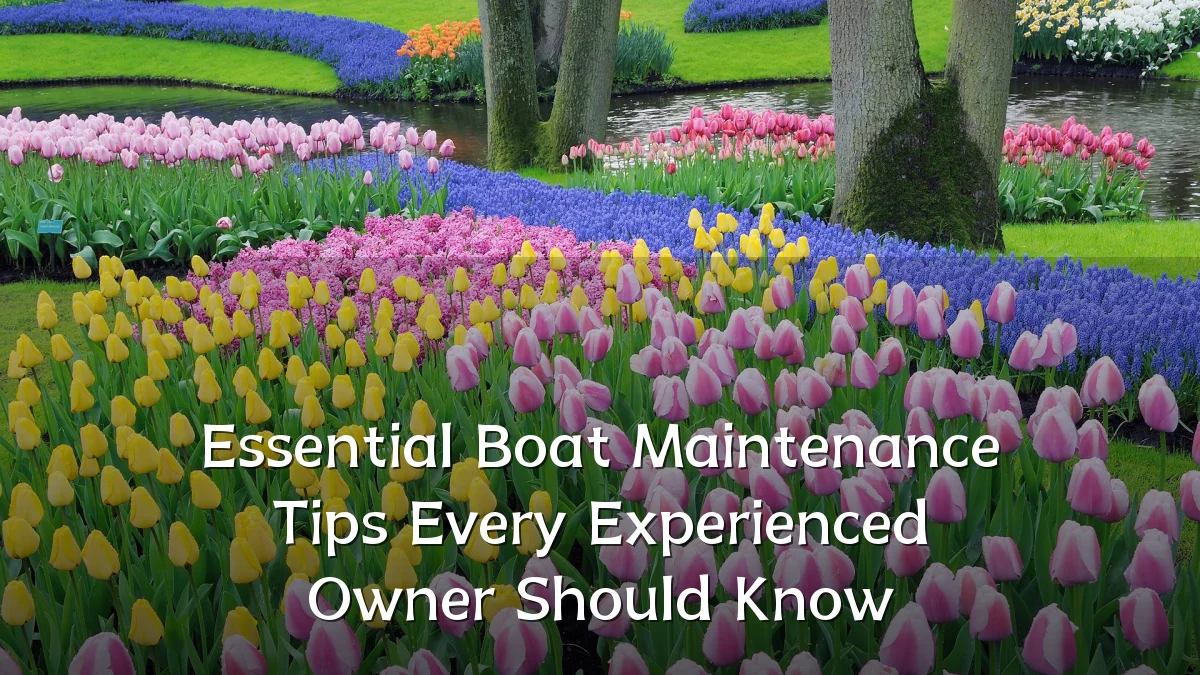 Essential Boat Maintenance Tips Every Experienced Owner Should Know