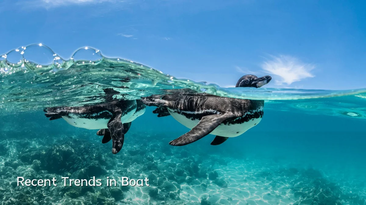Recent Trends in Boat