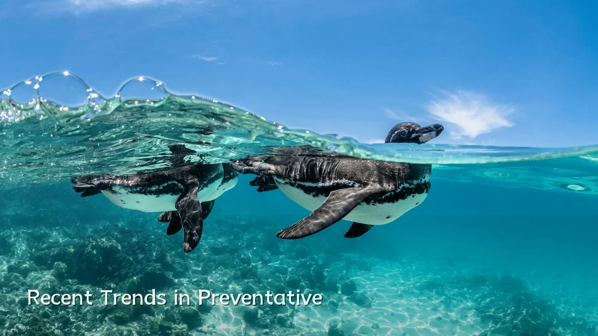 Recent Trends in Preventative