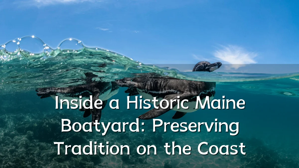 Inside a Historic Maine Boatyard: Preserving Tradition on the Coast