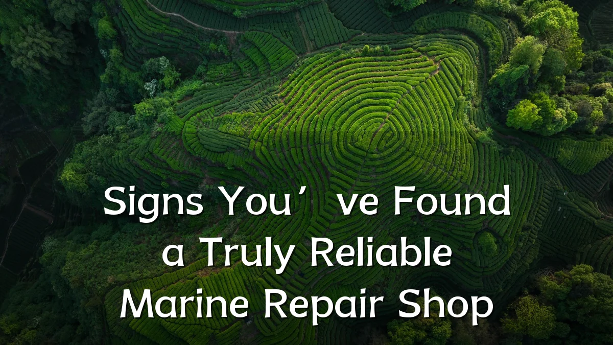 Signs You’ve Found a Truly Reliable Marine Repair Shop