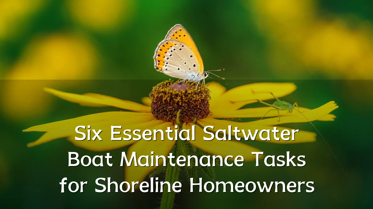 Six Essential Saltwater Boat Maintenance Tasks for Shoreline Homeowners