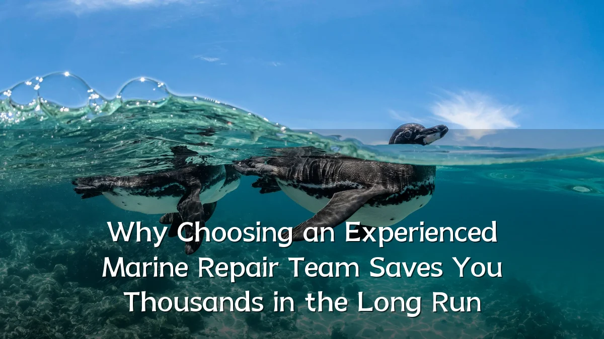 Why Choosing an Experienced Marine Repair Team Saves You Thousands in the Long Run