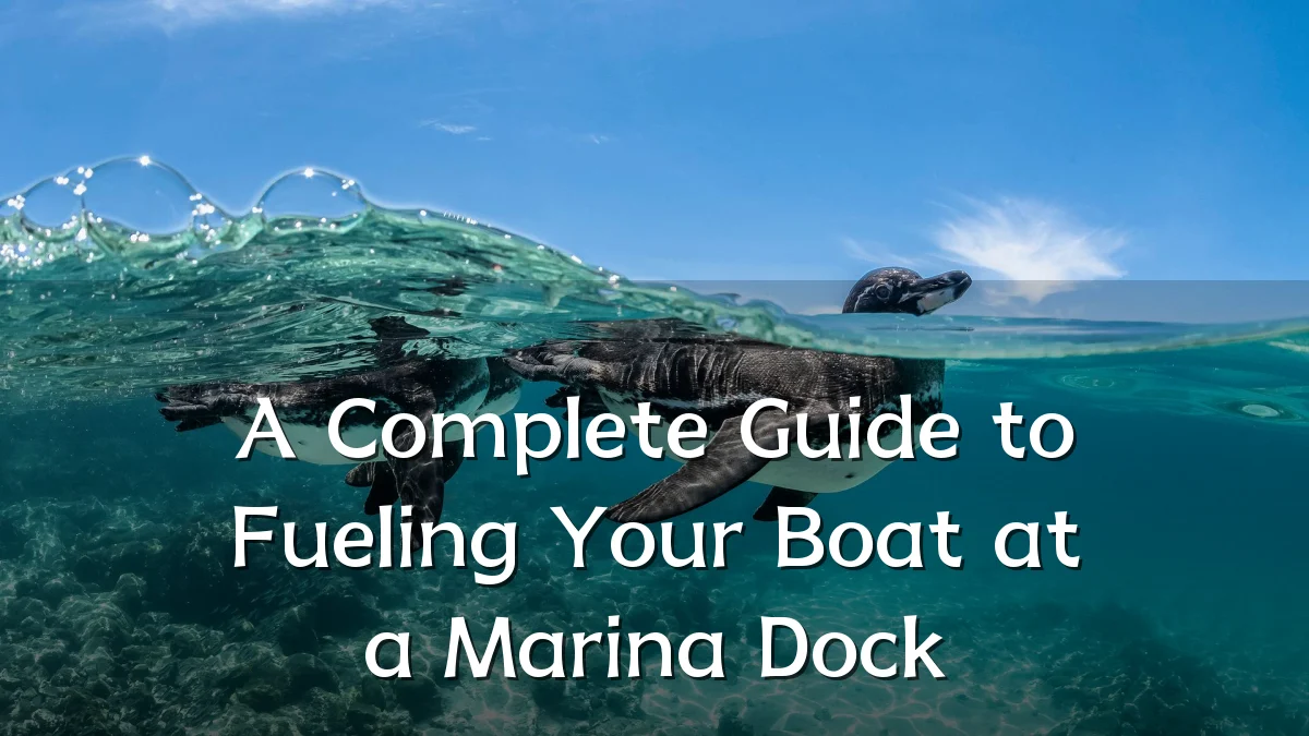 A Complete Guide to Fueling Your Boat at a Marina Dock