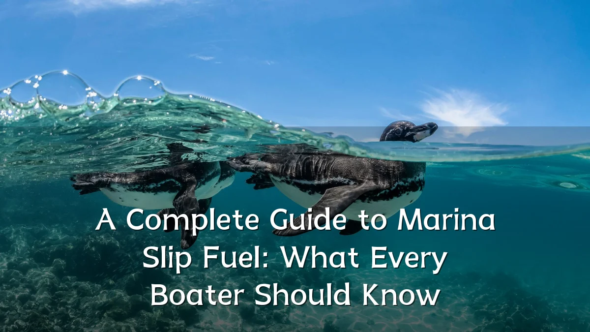 A Complete Guide to Marina Slip Fuel: What Every Boater Should Know