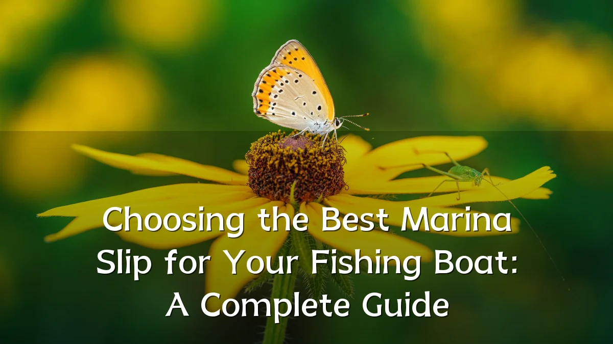 Choosing the Best Marina Slip for Your Fishing Boat: A Complete Guide