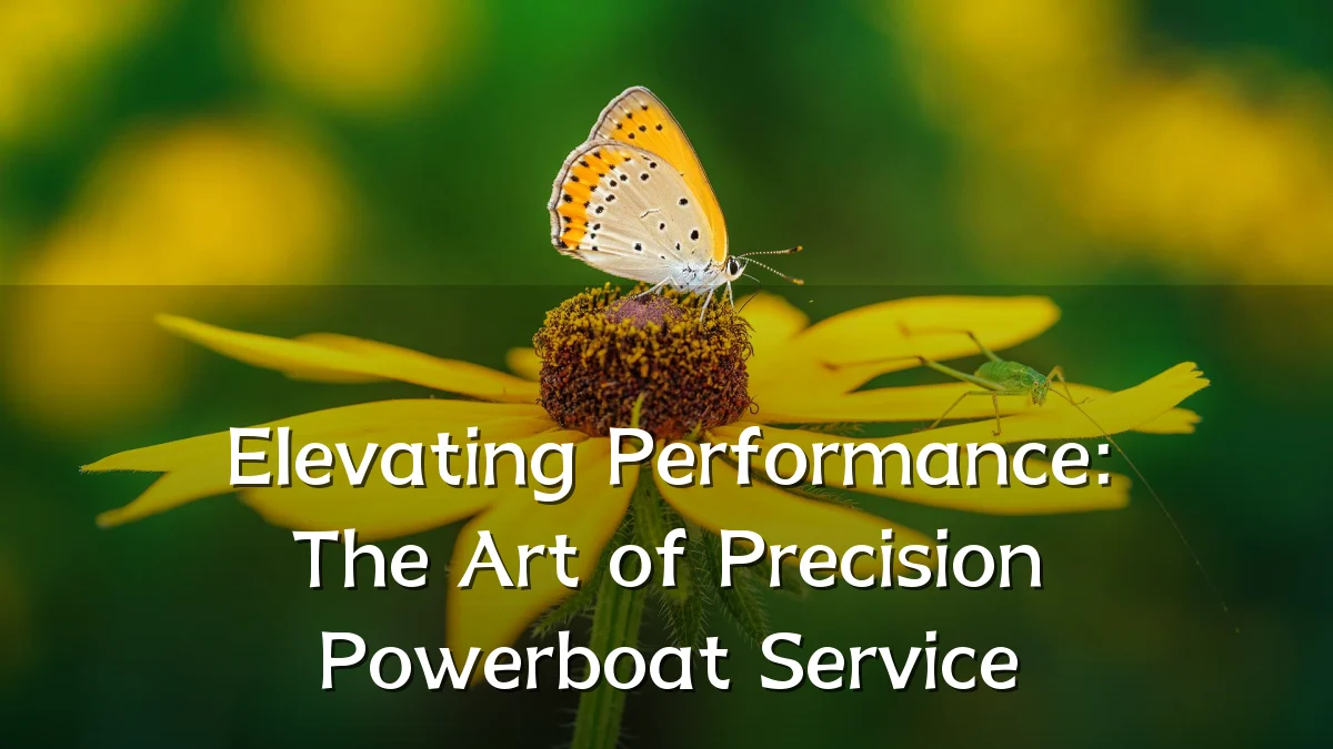 Elevating Performance: The Art of Precision Powerboat Service