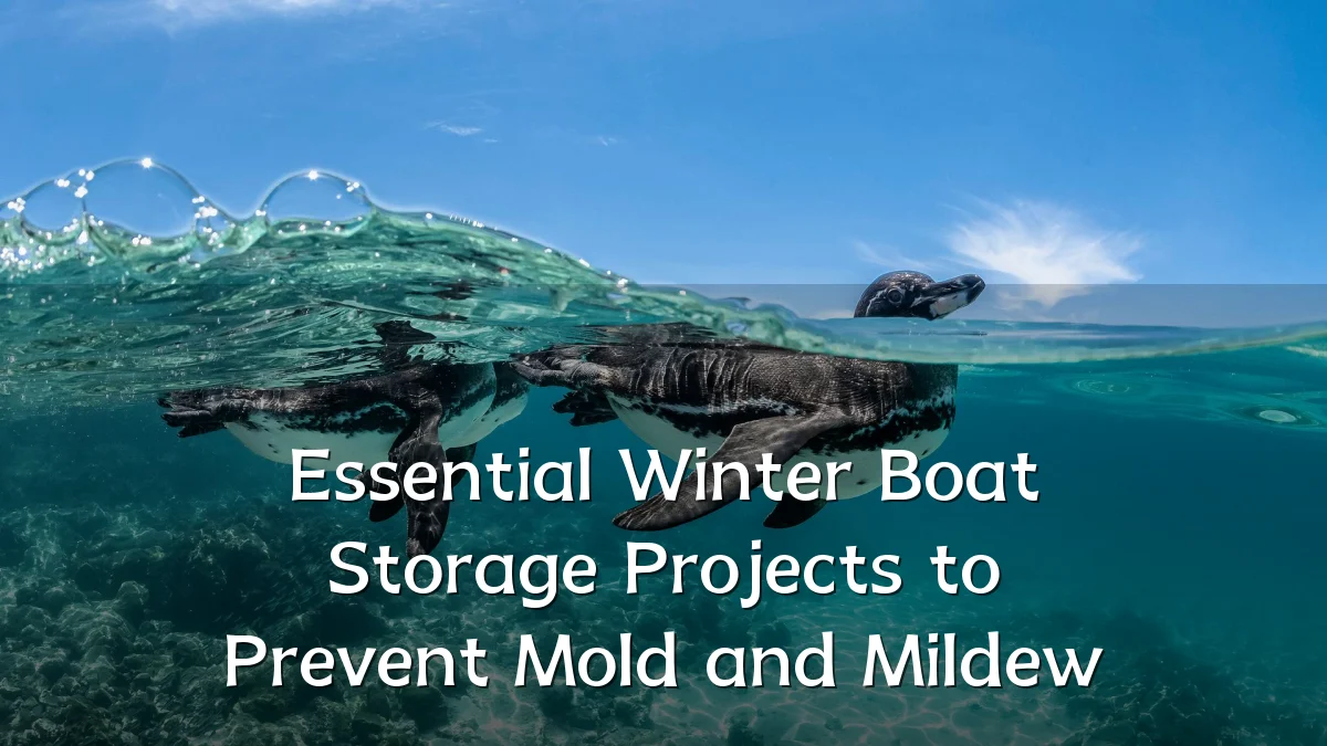 Essential Winter Boat Storage Projects to Prevent Mold and Mildew