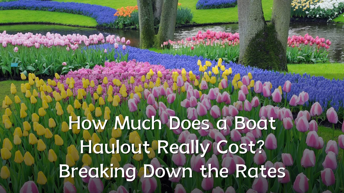 How Much Does a Boat Haulout Really Cost? Breaking Down the Rates