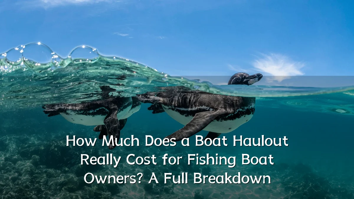 How Much Does a Boat Haulout Really Cost for Fishing Boat Owners? A Full Breakdown