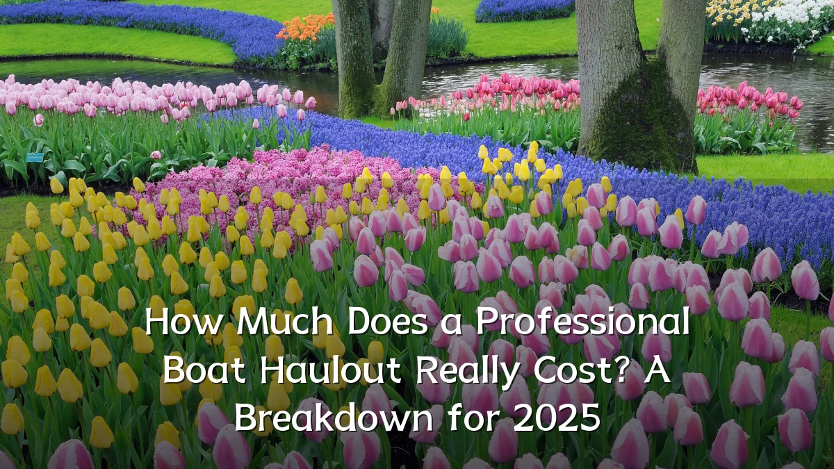 How Much Does a Professional Boat Haulout Really Cost? A Breakdown for 2025