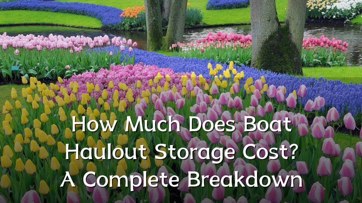 How Much Does Boat Haulout Storage Cost? A Complete Breakdown