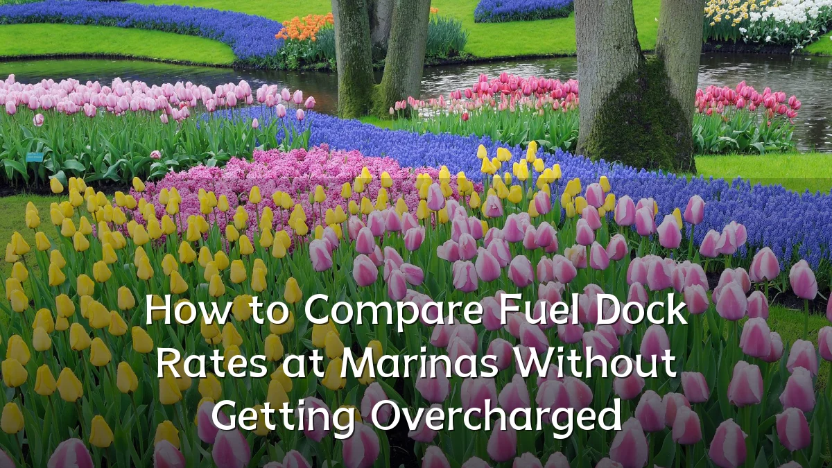 How to Compare Fuel Dock Rates at Marinas Without Getting Overcharged