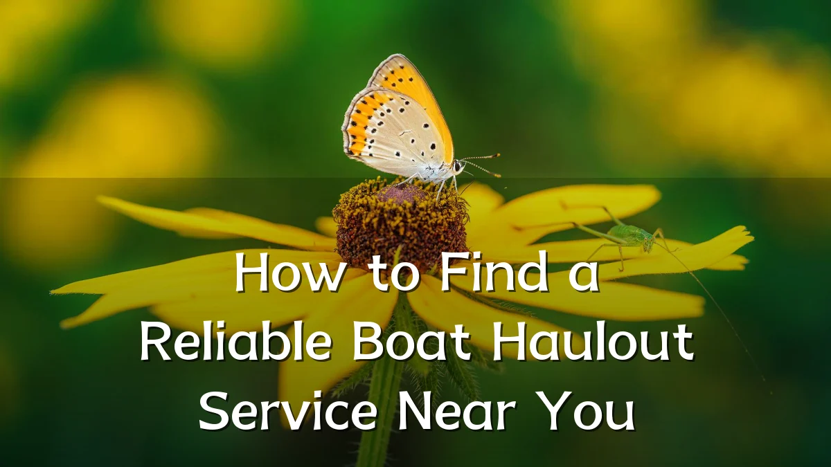 How to Find a Reliable Boat Haulout Service Near You