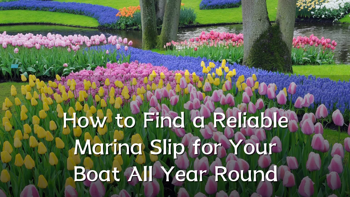 How to Find a Reliable Marina Slip for Your Boat All Year Round