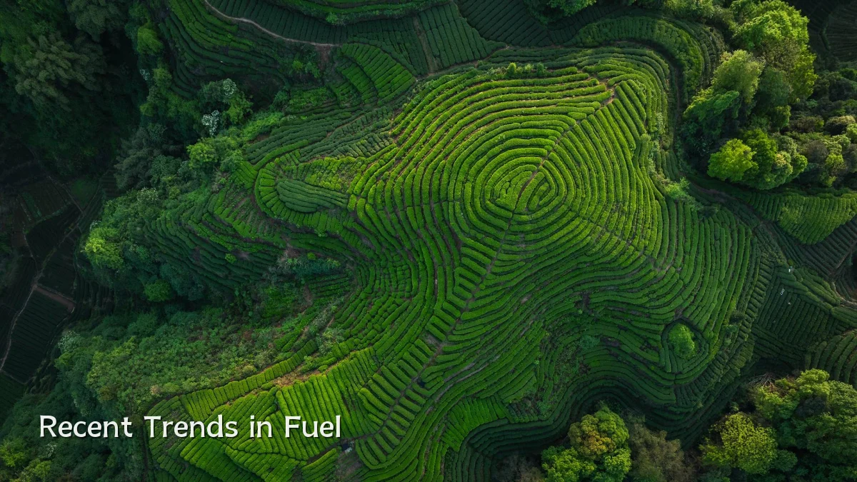 Recent Trends in Fuel