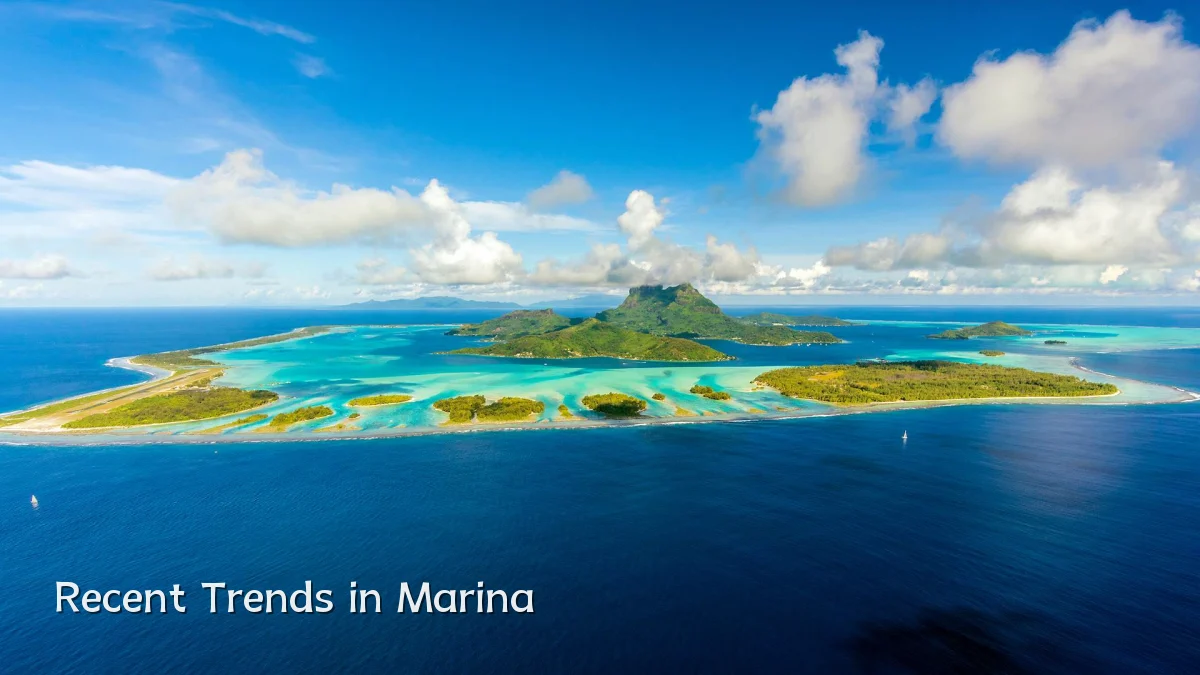 Recent Trends in Marina