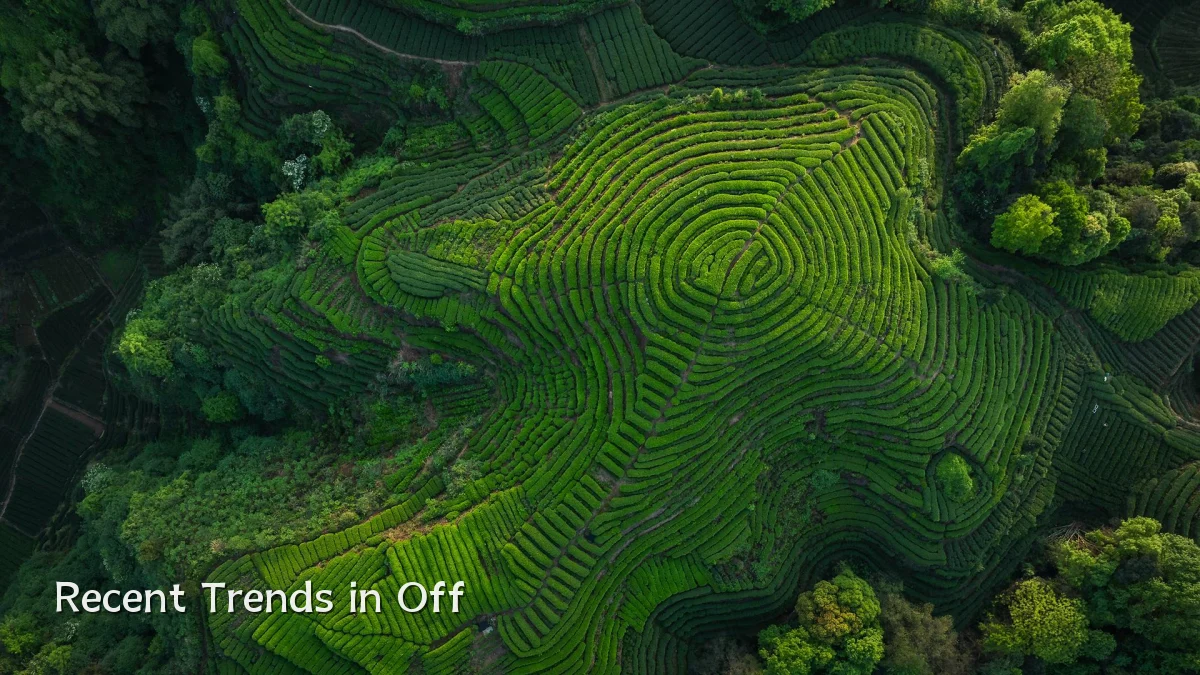 Recent Trends in Off