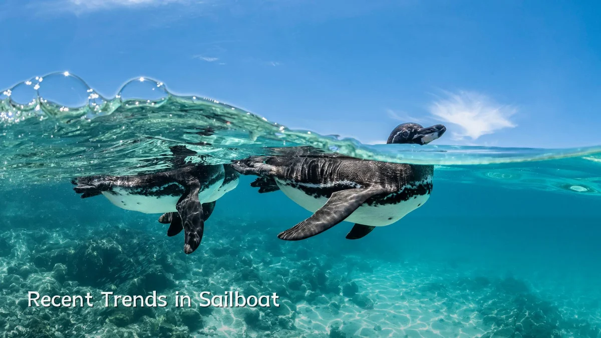 Recent Trends in Sailboat