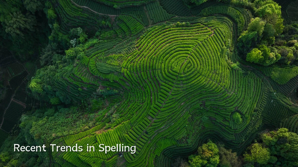 Recent Trends in Spelling