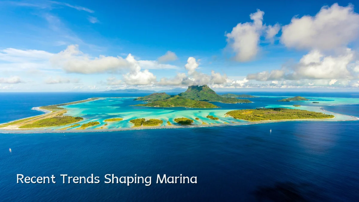 Recent Trends Shaping Marina