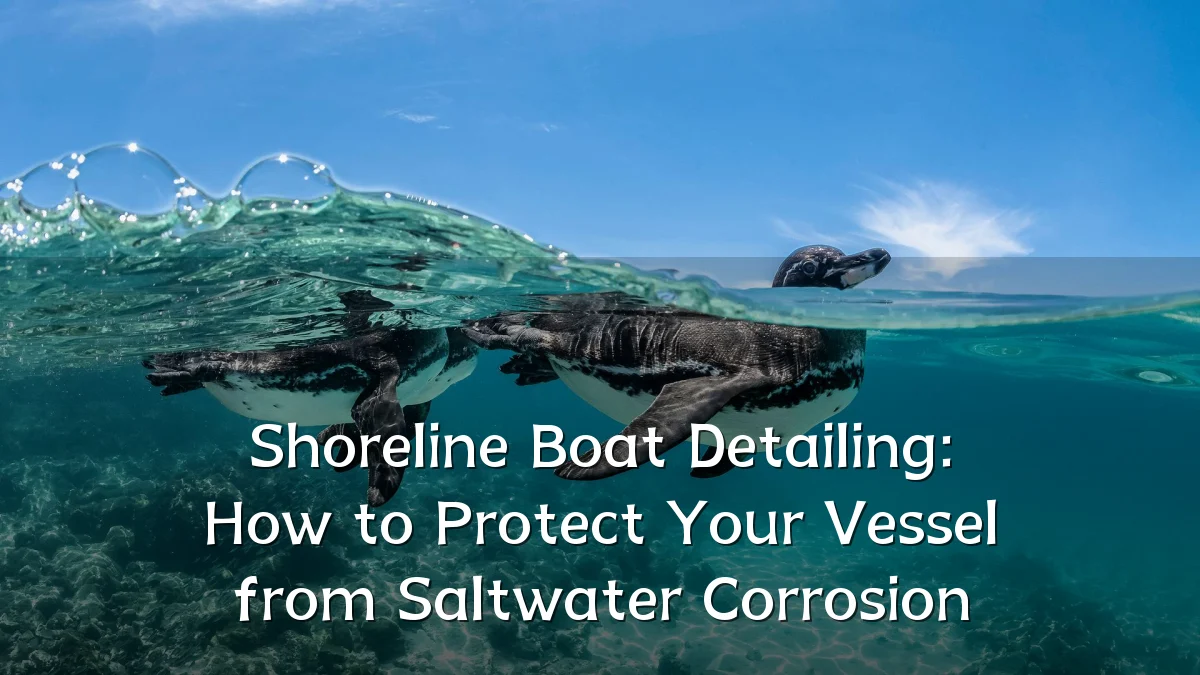 Shoreline Boat Detailing: How to Protect Your Vessel from Saltwater Corrosion