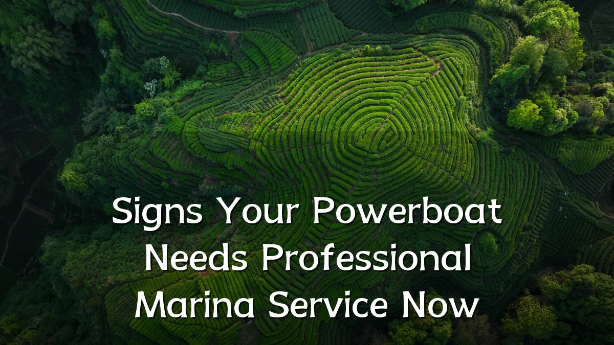 Signs Your Powerboat Needs Professional Marina Service Now