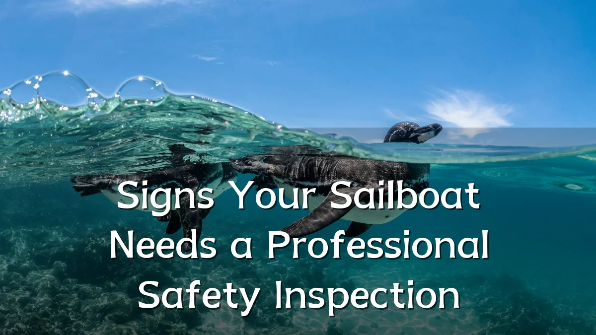 Signs Your Sailboat Needs a Professional Safety Inspection