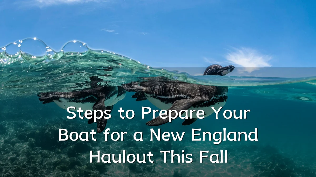 Steps to Prepare Your Boat for a New England Haulout This Fall