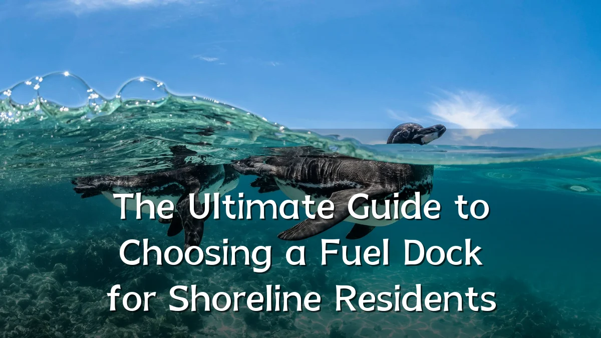 The Ultimate Guide to Choosing a Fuel Dock for Shoreline Residents