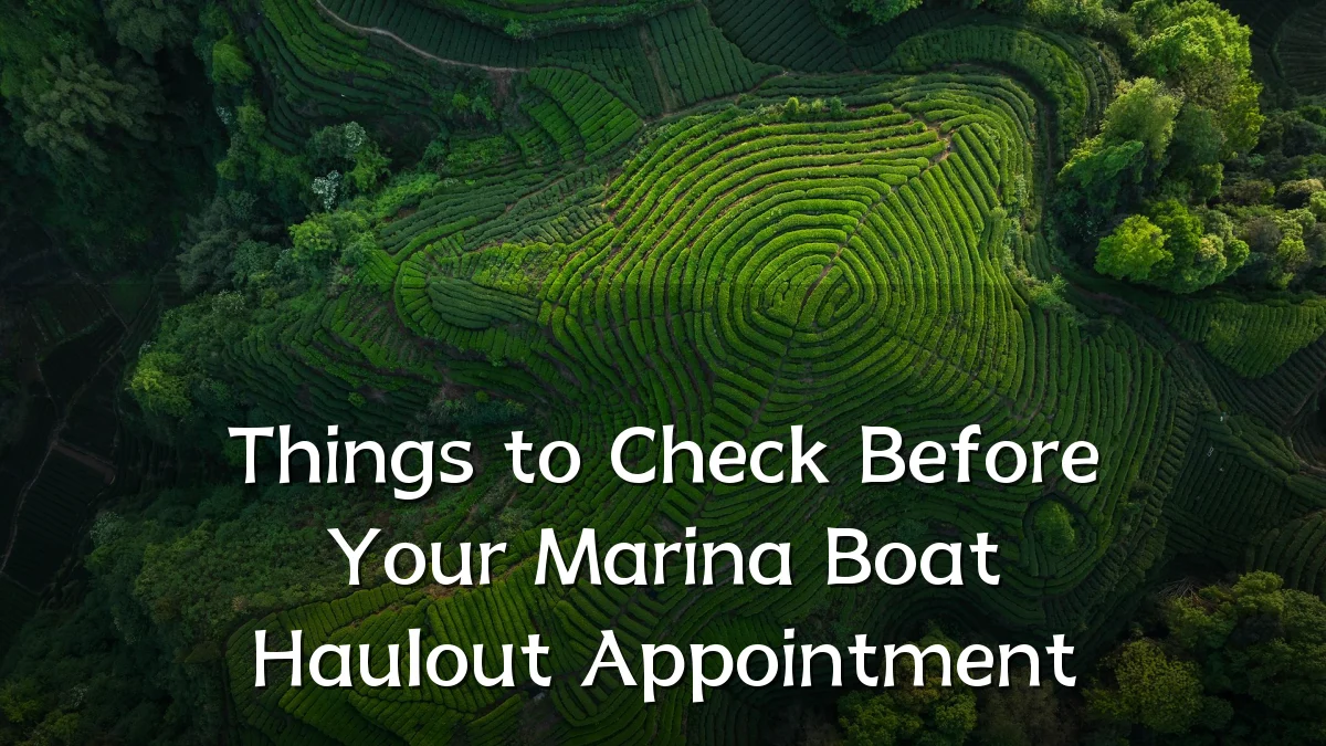 Things to Check Before Your Marina Boat Haulout Appointment
