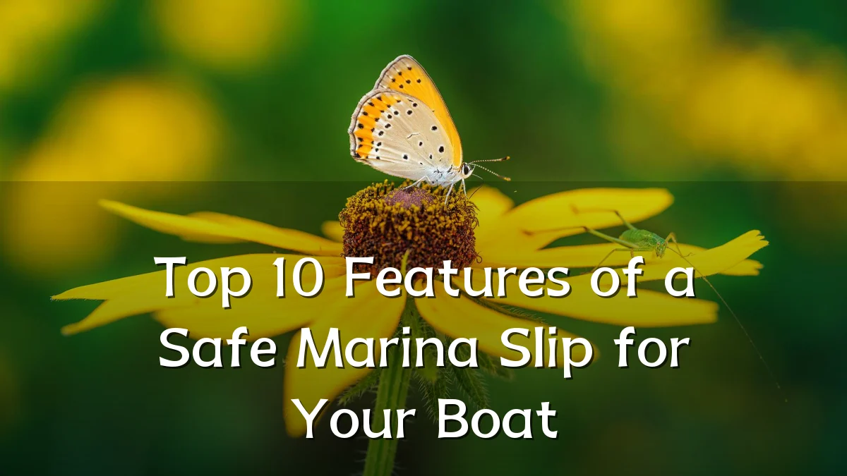 Top 10 Features of a Safe Marina Slip for Your Boat