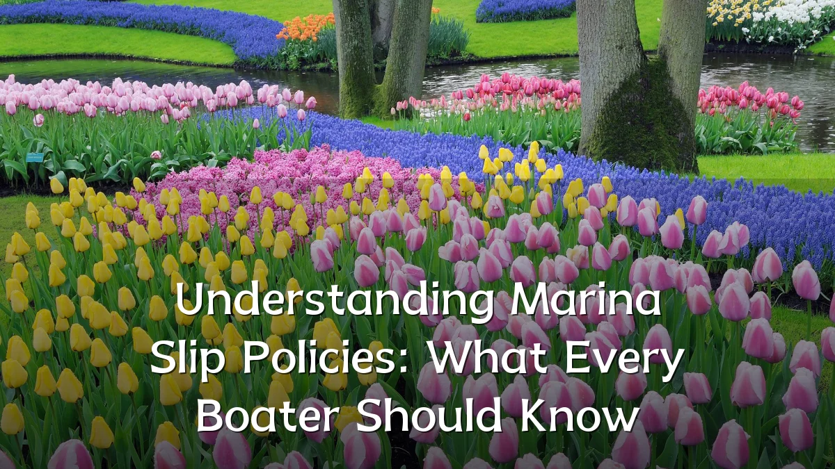 Understanding Marina Slip Policies: What Every Boater Should Know