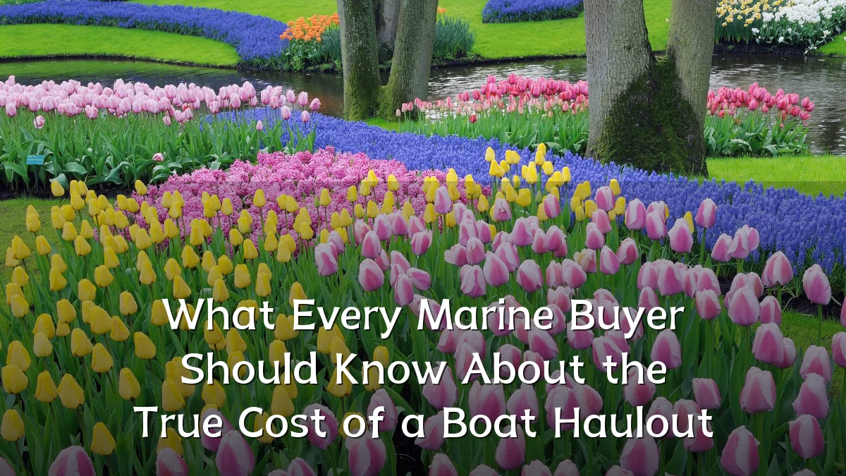 What Every Marine Buyer Should Know About the True Cost of a Boat Haulout