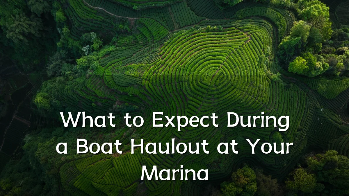 What to Expect During a Boat Haulout at Your Marina