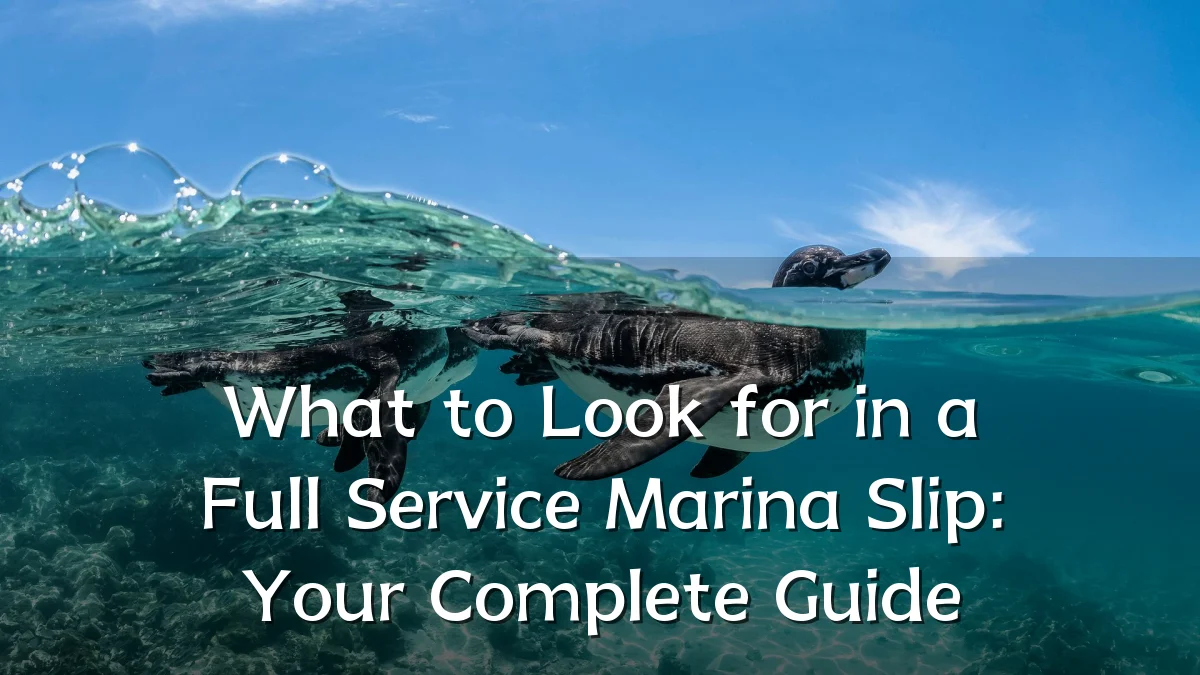 What to Look for in a Full Service Marina Slip: Your Complete Guide