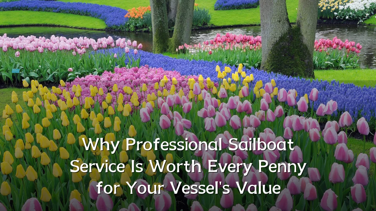 Why Professional Sailboat Service Is Worth Every Penny for Your Vessel's Value