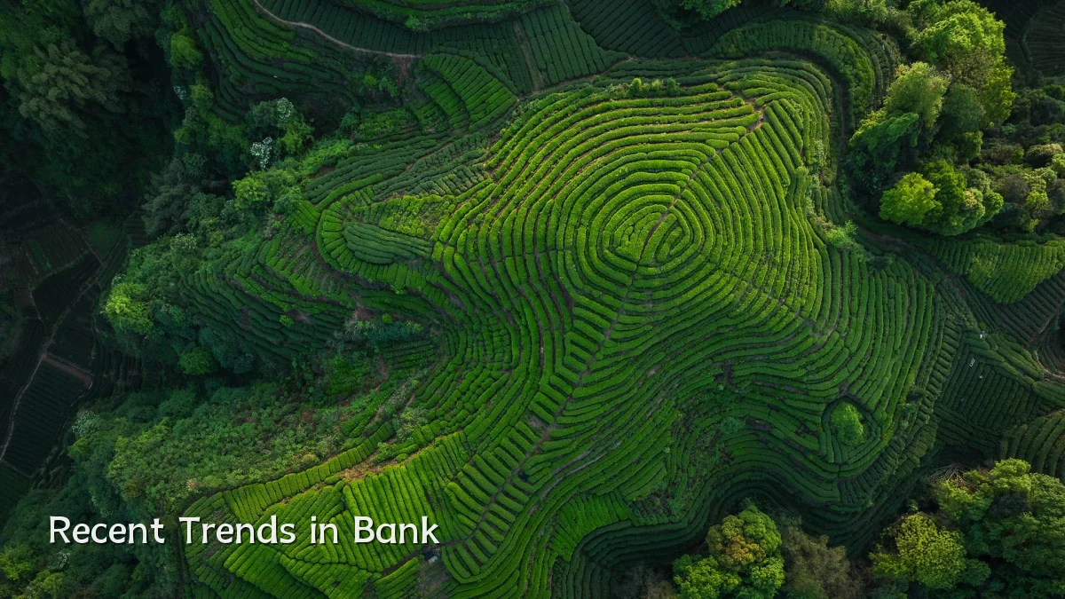 Recent Trends in Bank