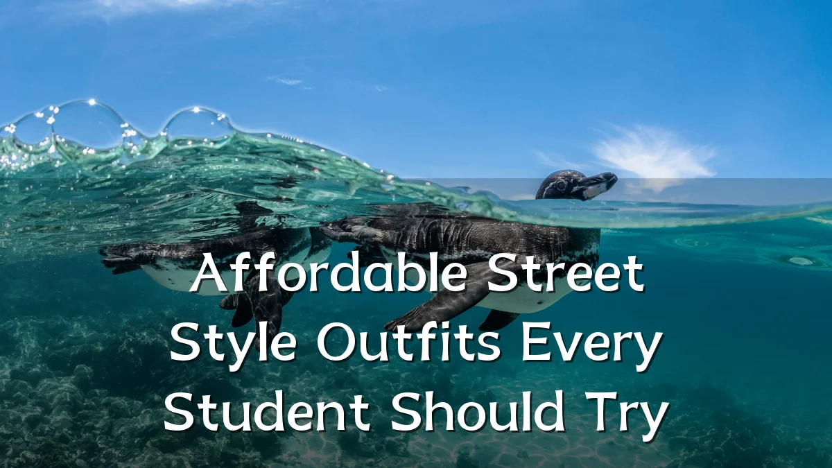 Affordable Street Style Outfits Every Student Should Try