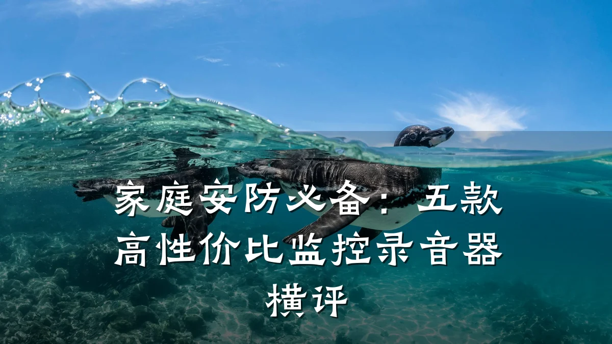 家庭安防必备:五款高性价比监控录音器横评