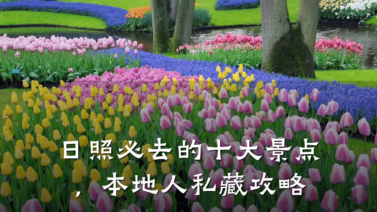 日照必去的十大景点，本地人私藏攻略