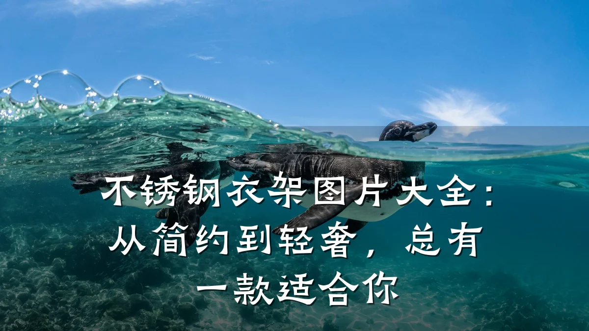 不锈钢衣架图片大全:从简约到轻奢,总有一款适合你