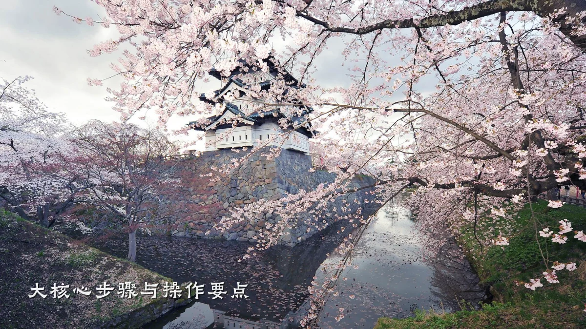 大核心步骤与操作要点