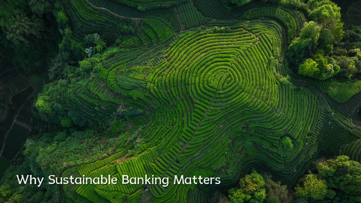 Why Sustainable Banking Matters